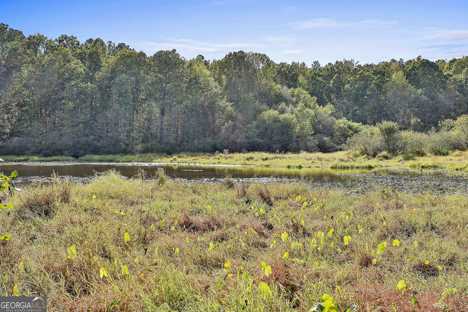 1505 Elders Mill Rd Senoia - 41