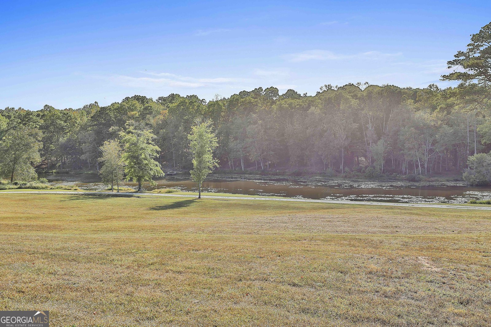 1505 Elders Mill Rd Senoia - 46