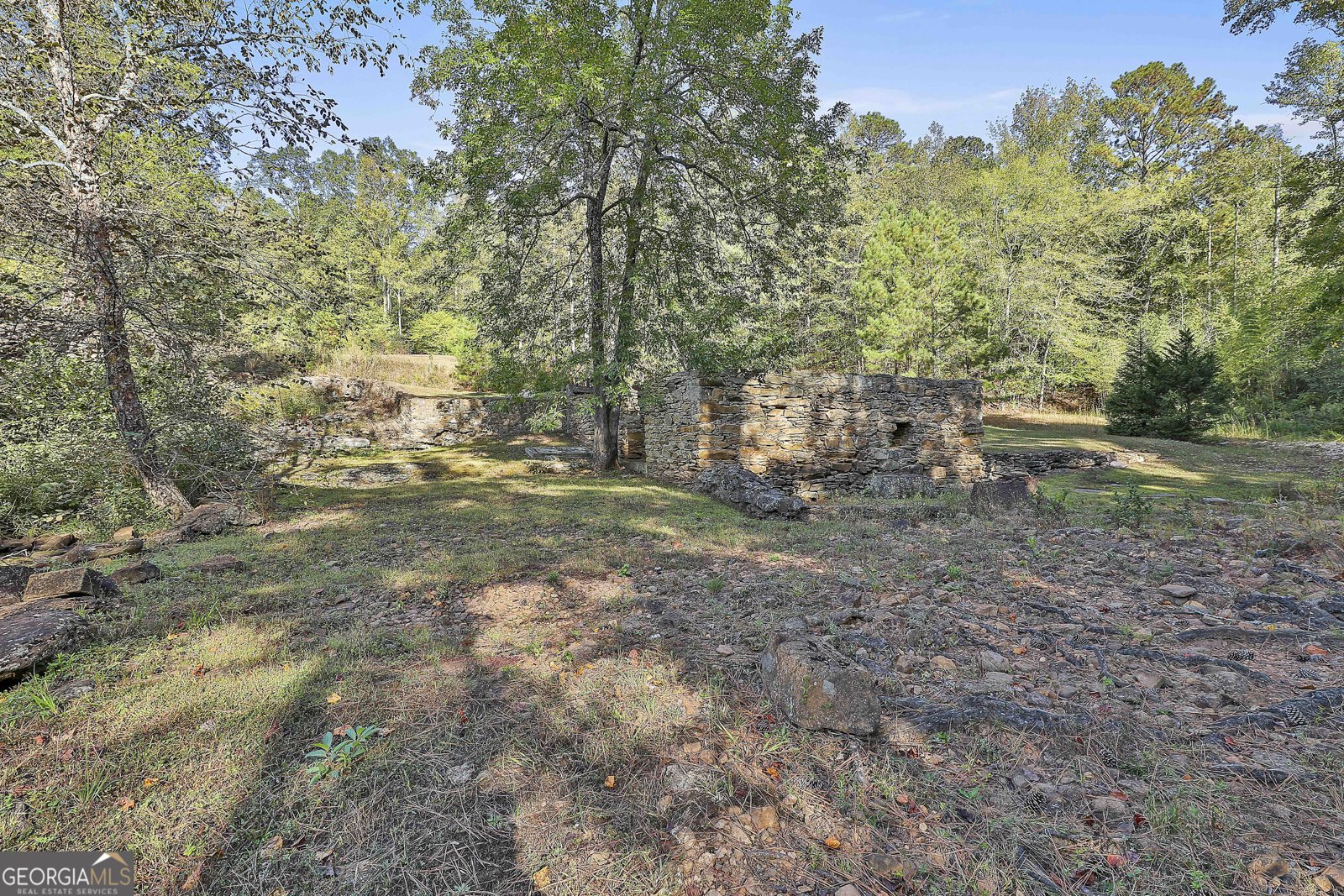 1505 Elders Mill Rd Senoia - 51