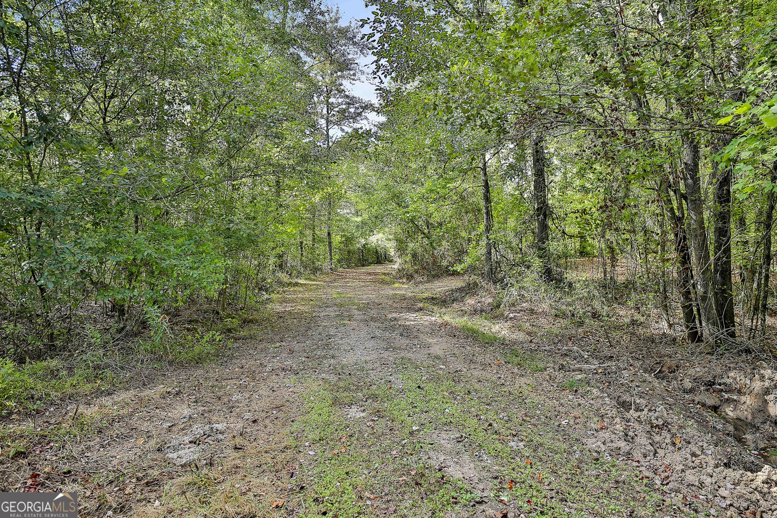 1505 Elders Mill Rd Senoia - 54