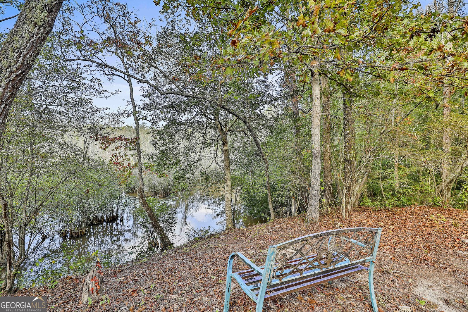 1505 Elders Mill Rd Senoia - 56