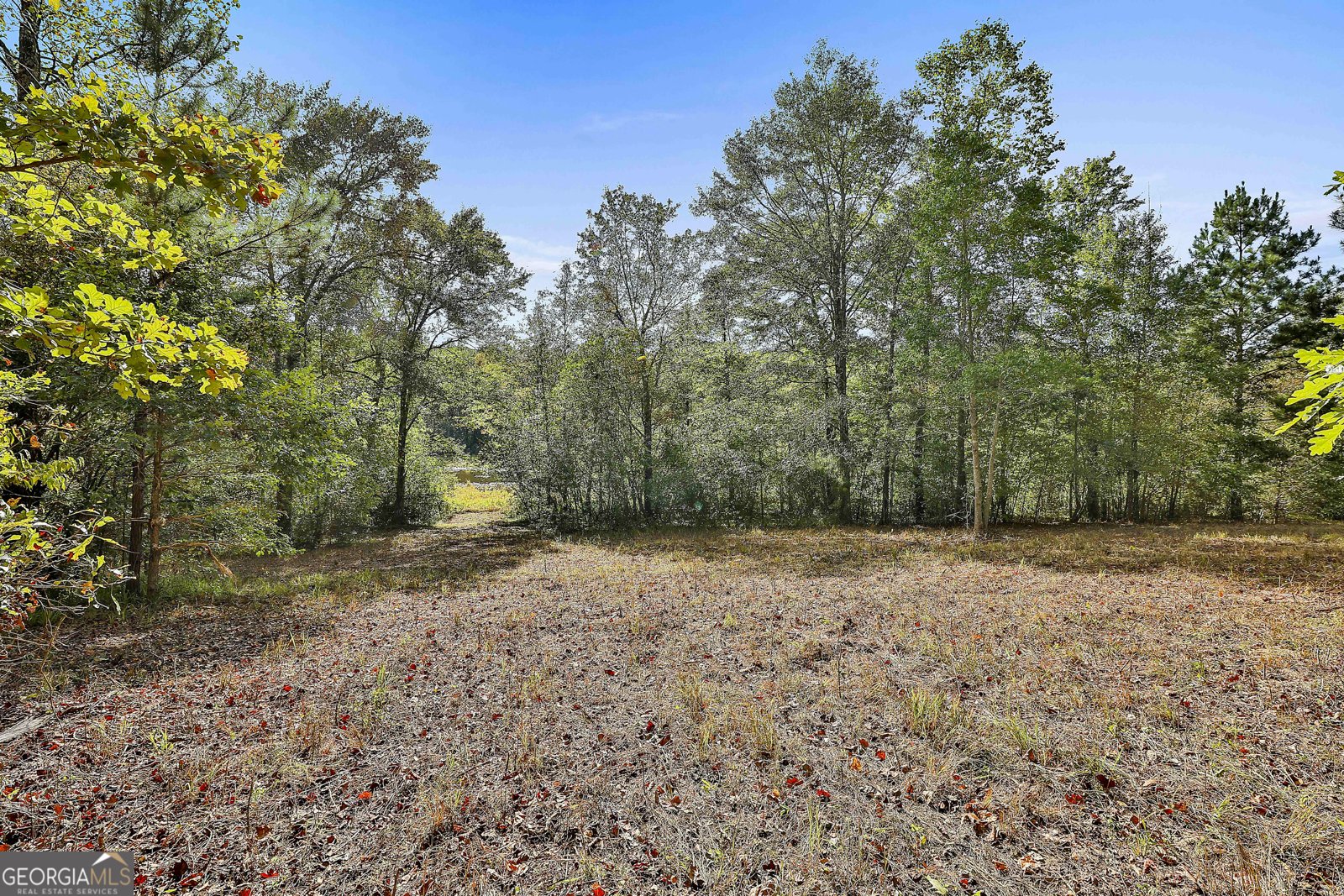 1505 Elders Mill Rd Senoia - 58