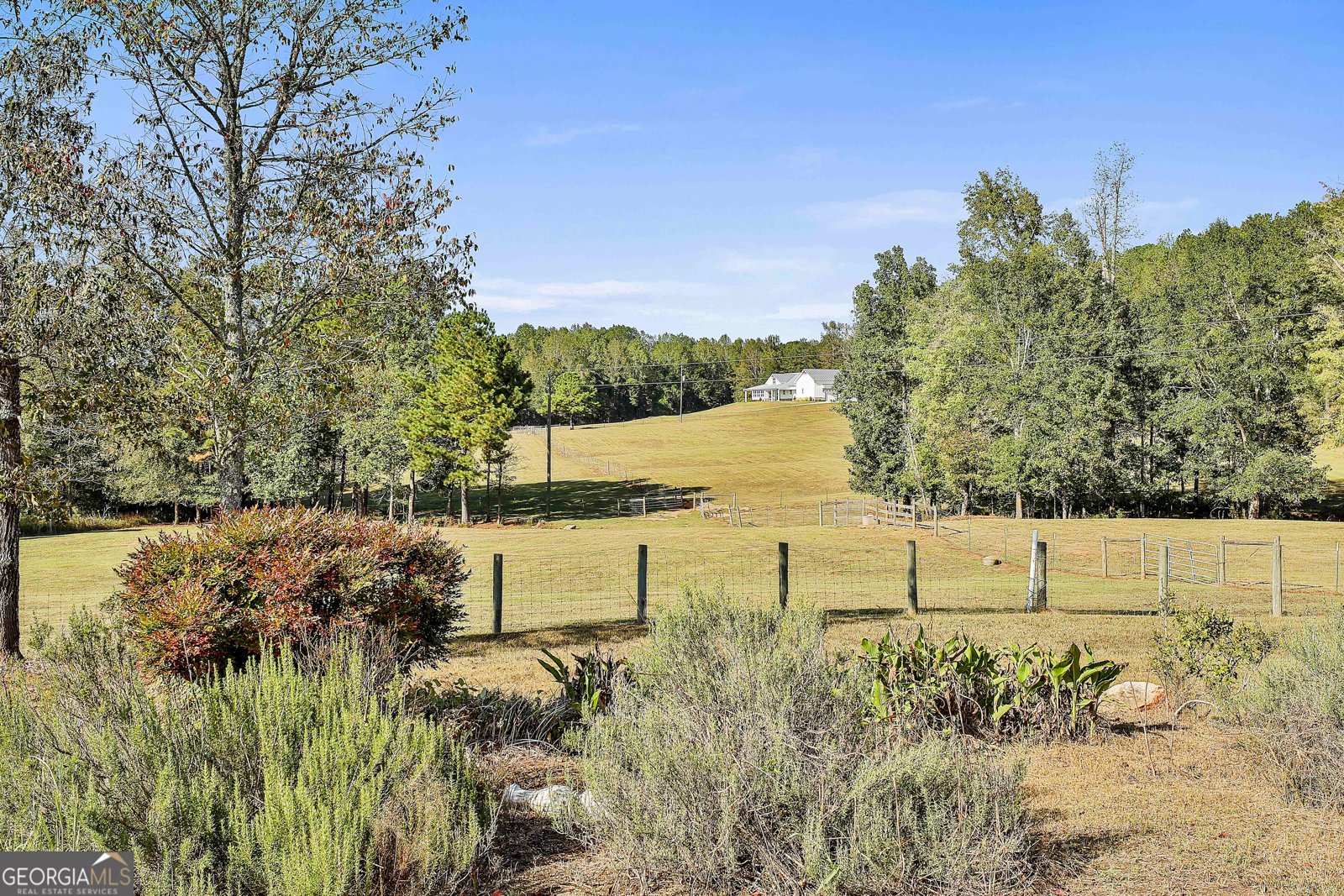 1505 Elders Mill Rd Senoia - 60