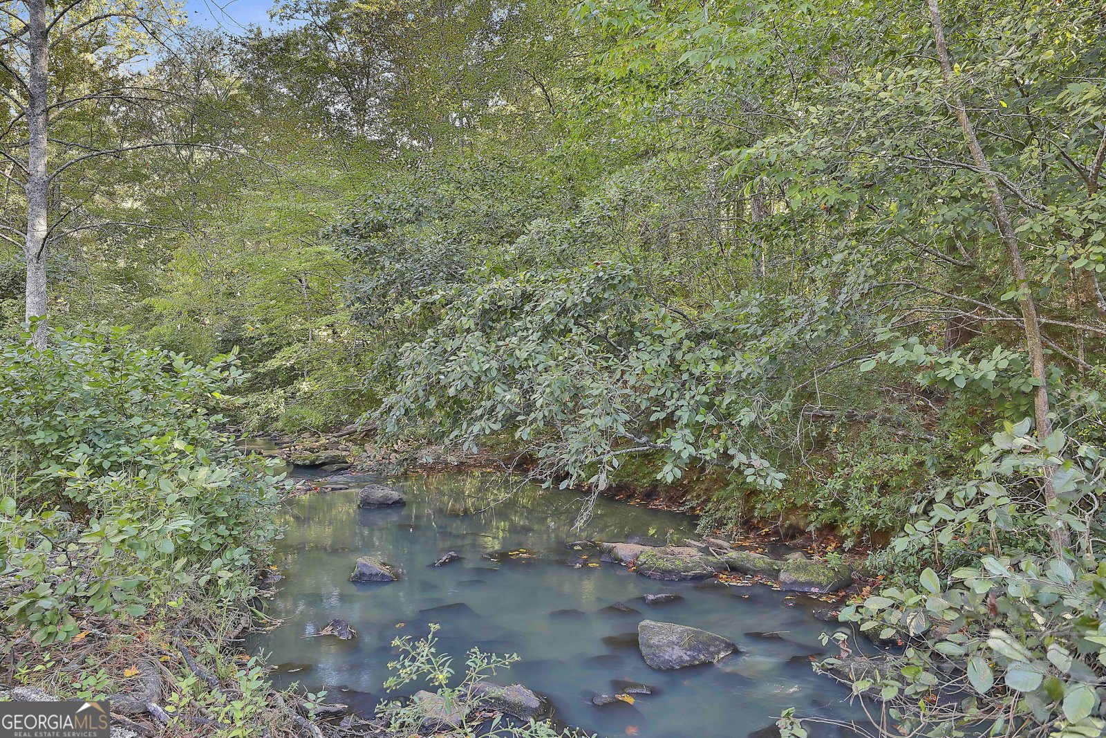 1505 Elders Mill Rd Senoia - 68