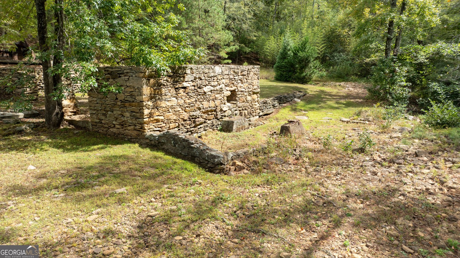 1505 Elders Mill Rd Senoia - 70