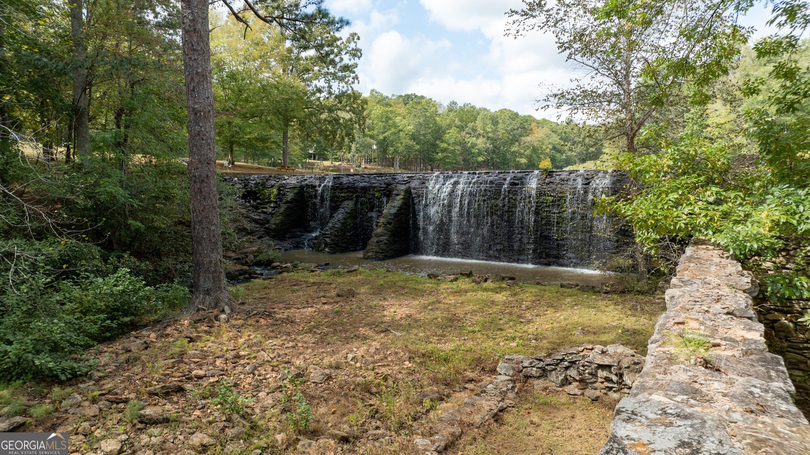 1505 Elders Mill Road Senoia - 71