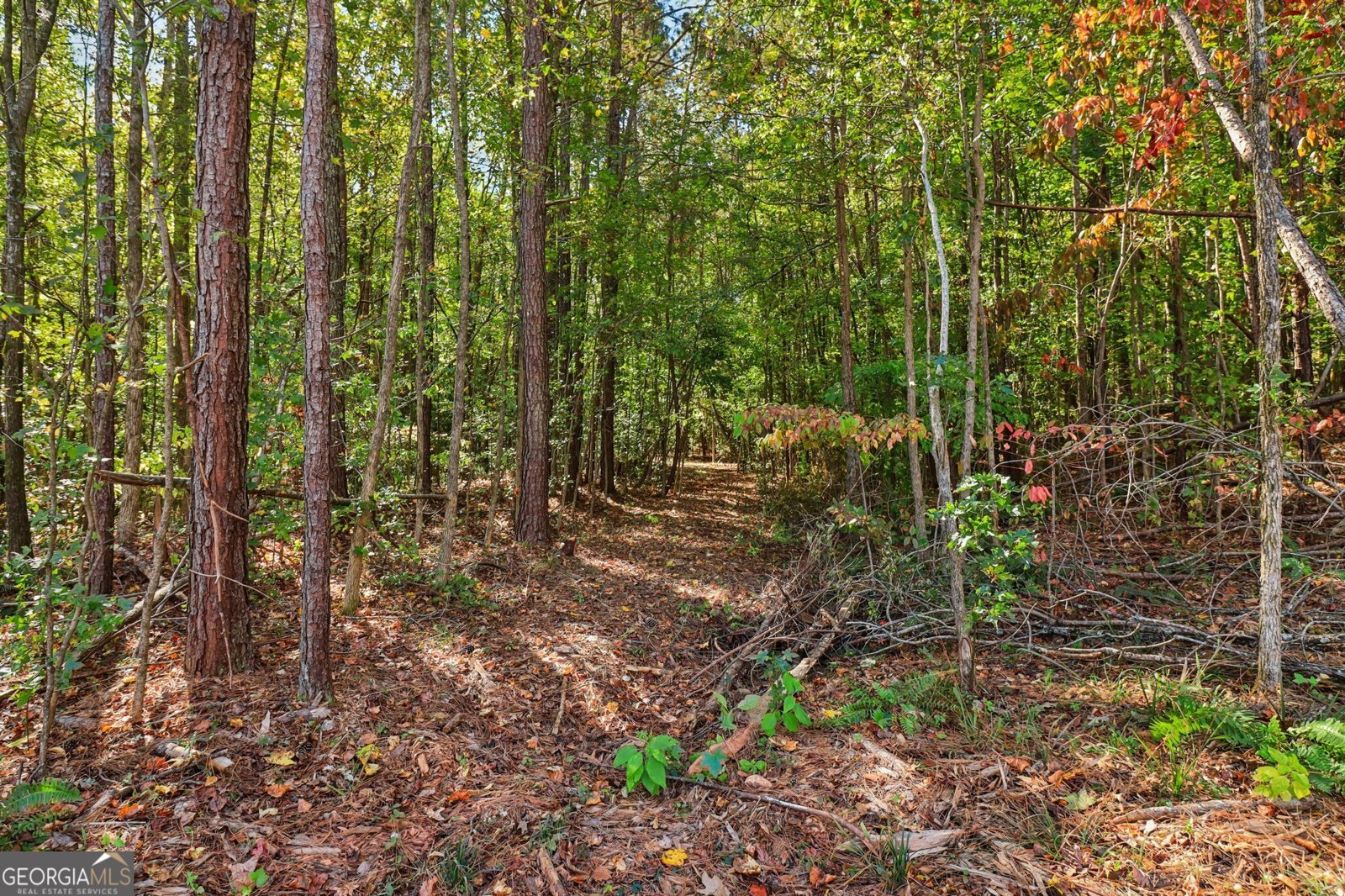 150 Wilson Drive McDonough - 32