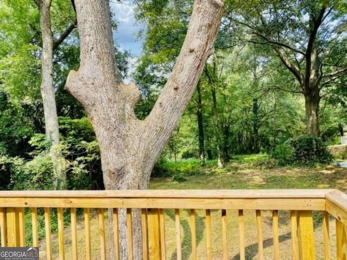 85 Meldon Avenue Atlanta - 22