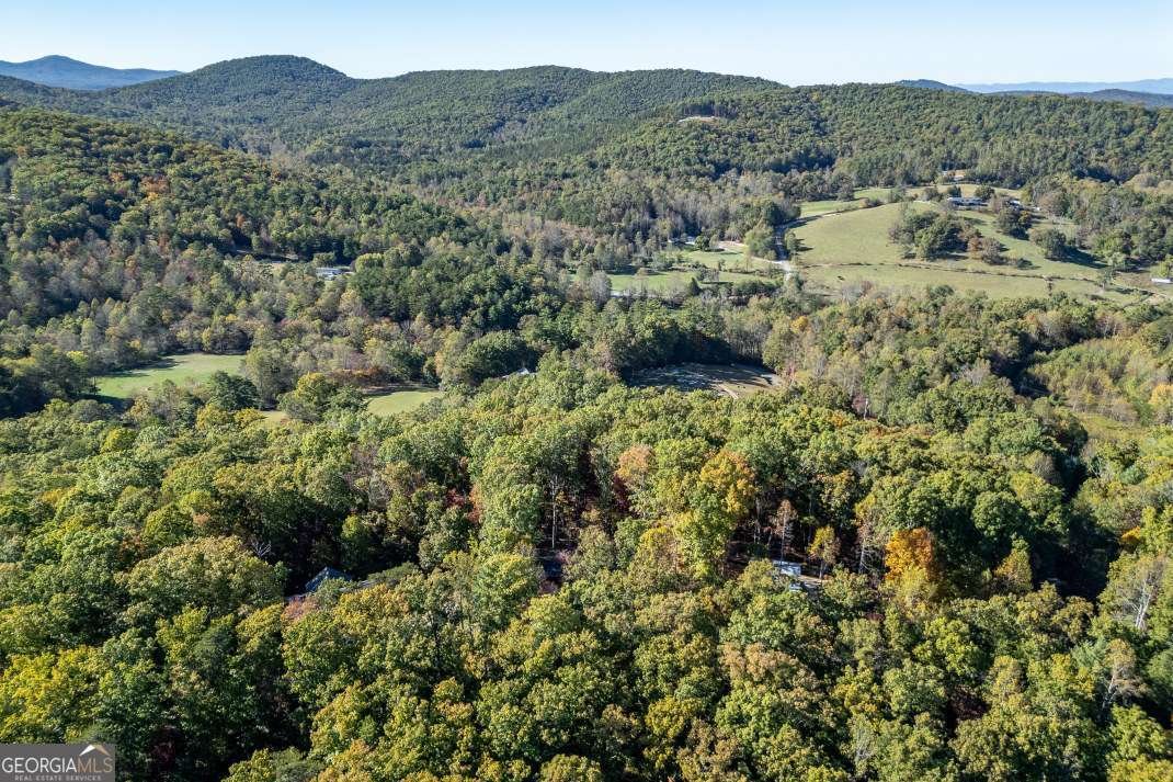 210 Mt Pleasant Ridge Blairsville - 34