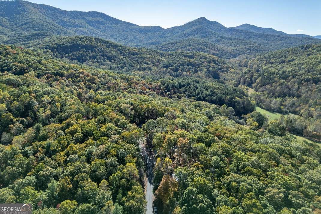 210 Mt Pleasant Ridge Blairsville - 36