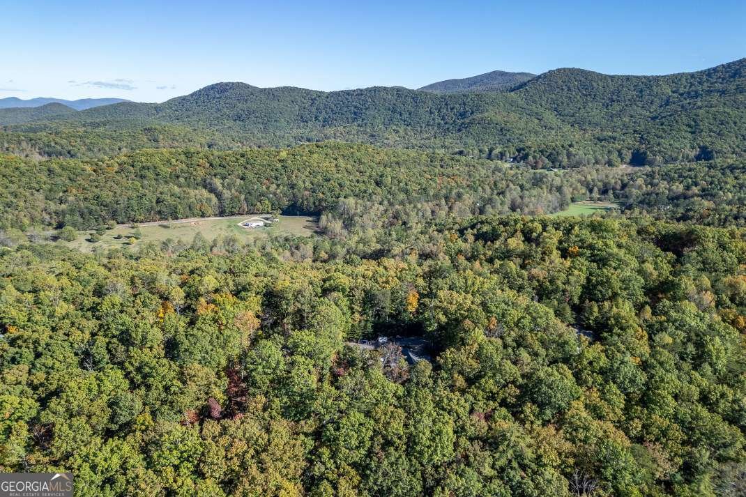 210 Mt Pleasant Ridge Blairsville - 38