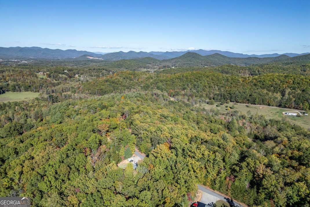 210 Mt Pleasant Ridge Blairsville - 39