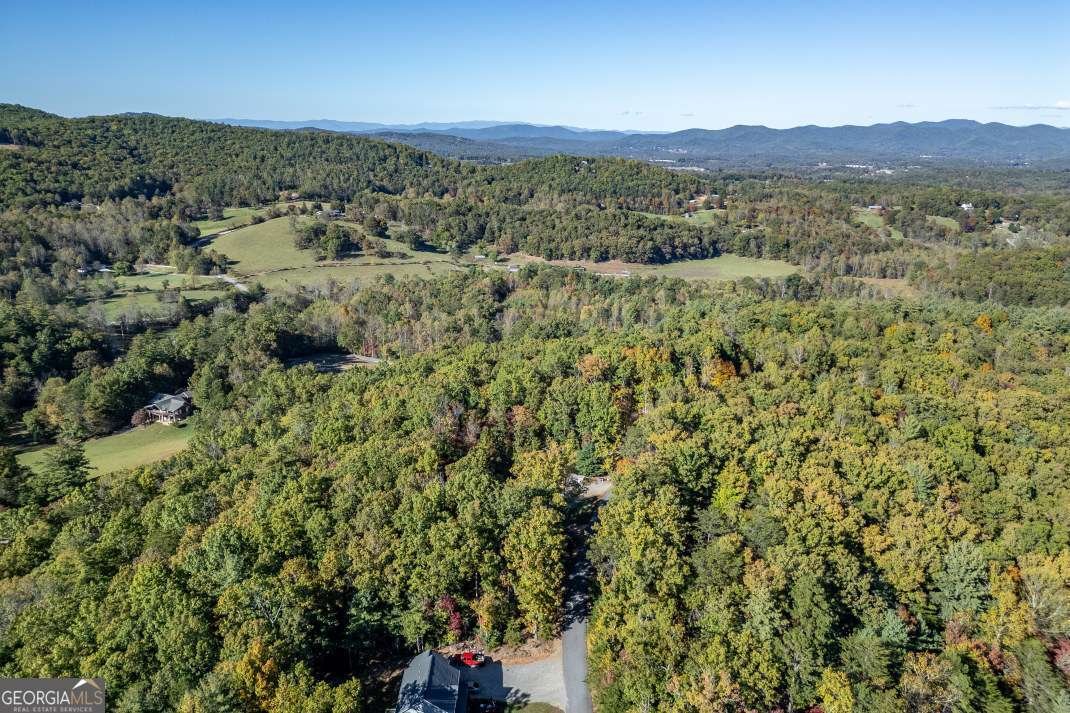 210 Mt Pleasant Ridge Blairsville - 40