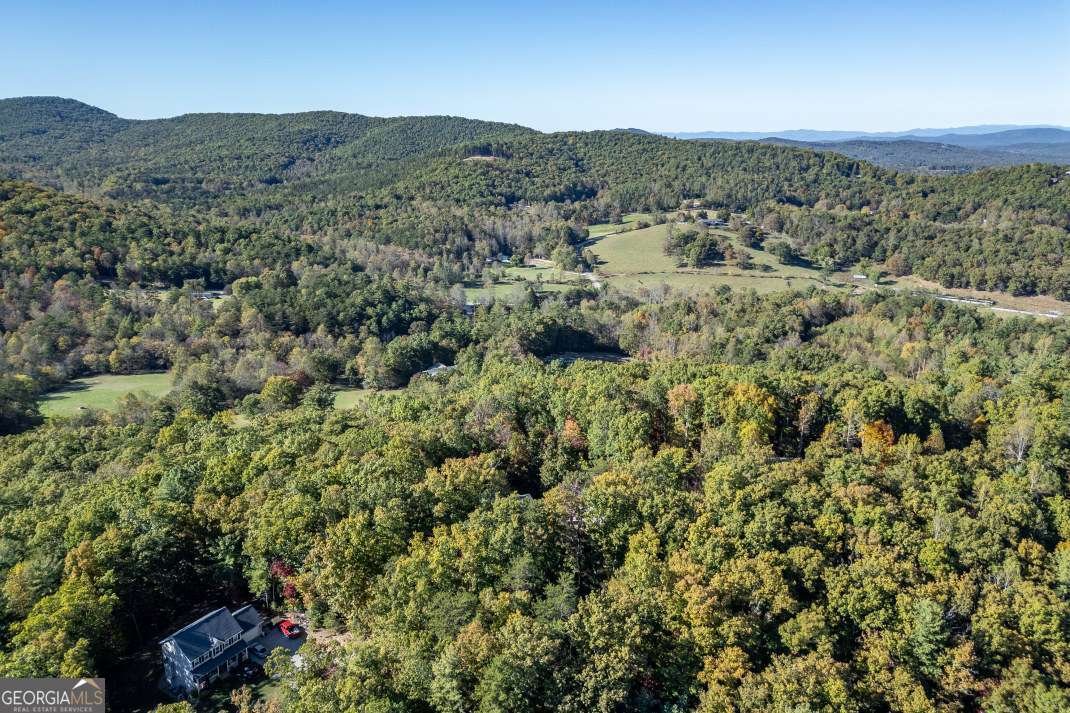 210 Mt Pleasant Ridge Blairsville - 41