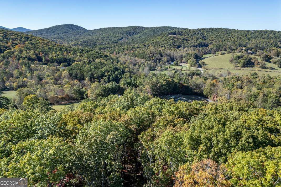 210 Mt Pleasant Ridge Blairsville - 42