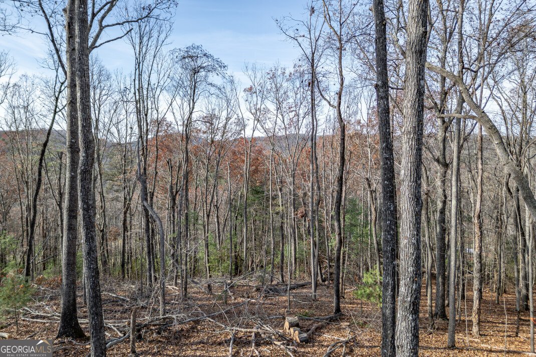 210 Mt Pleasant Ridge Blairsville - 49