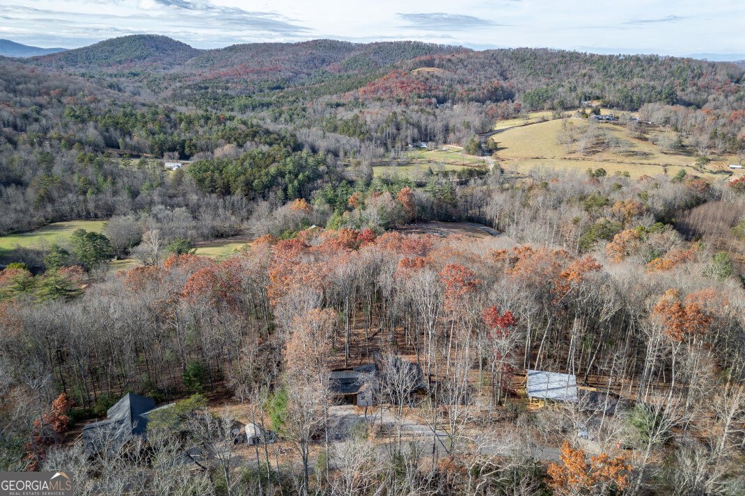 210 Mt Pleasant Ridge Blairsville - 65