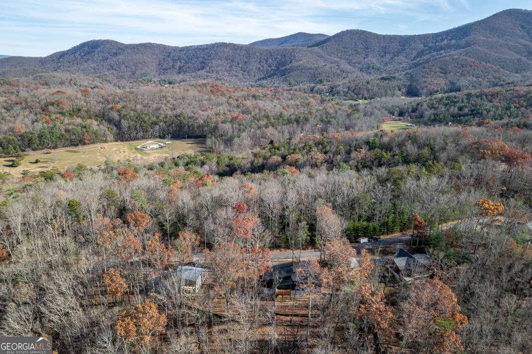 210 Mt Pleasant Ridge Blairsville - 68