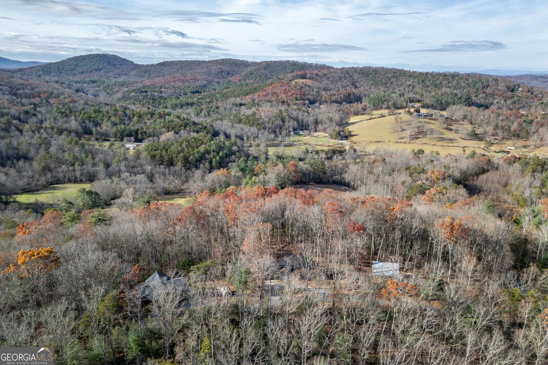 210 Mt Pleasant Ridge Blairsville - 71