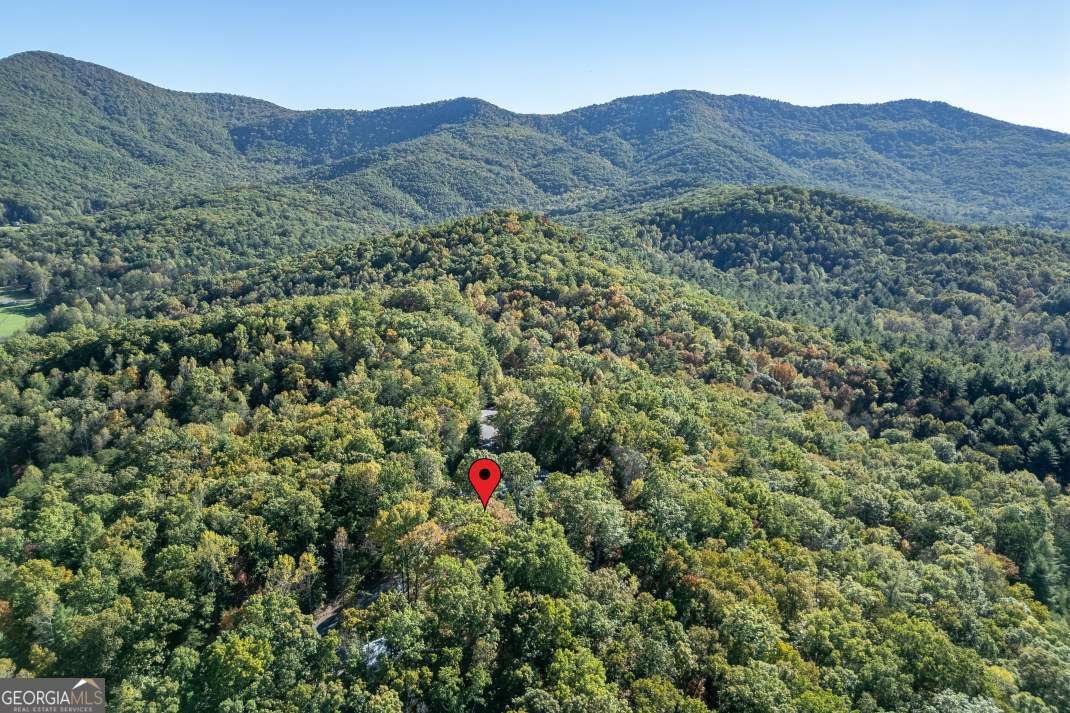 210 Mt Pleasant Ridge Blairsville - 72