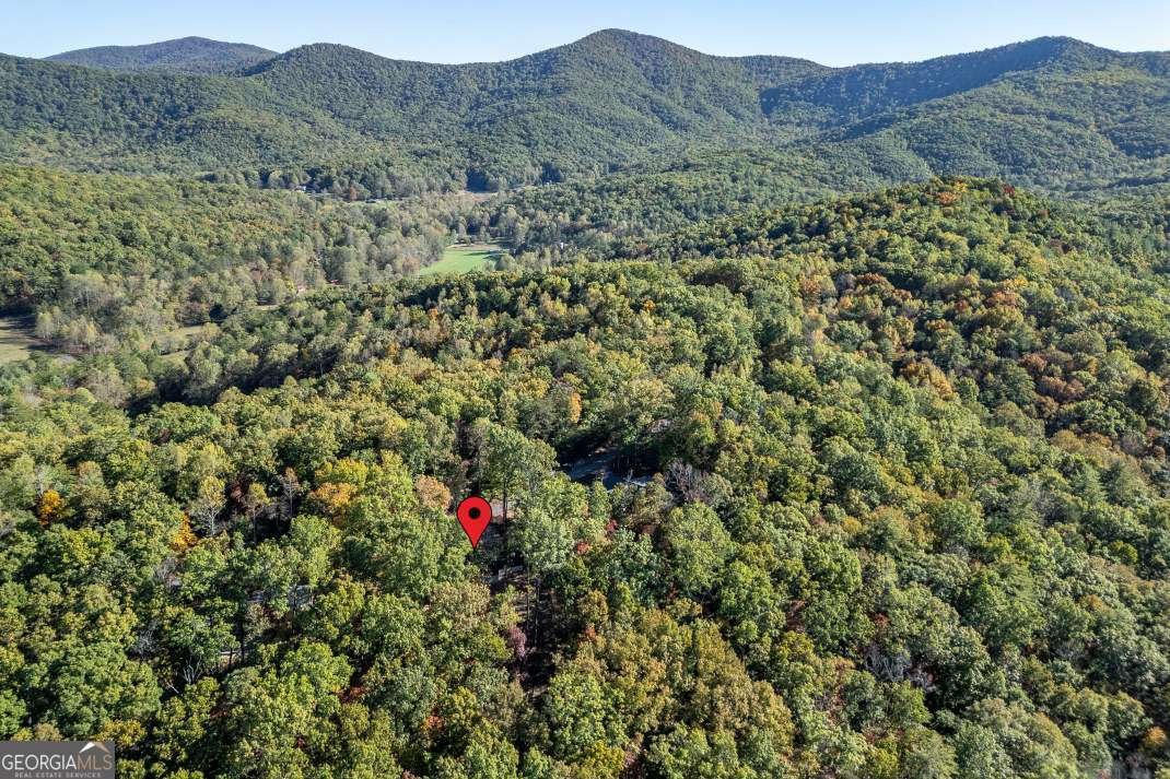 210 Mt Pleasant Ridge Blairsville - 73