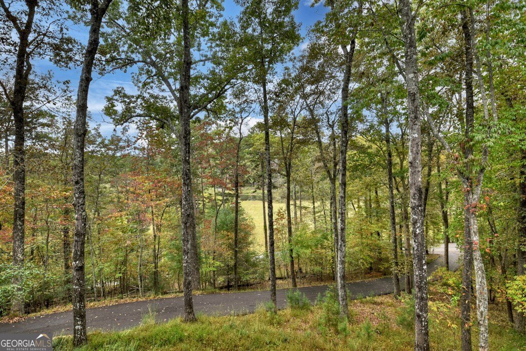 28 Fish Camp Way Mineral Bluff - 24