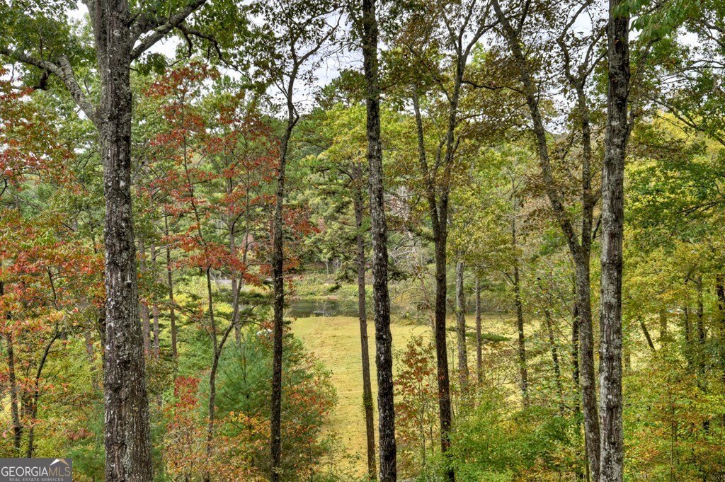 28 Fish Camp Way Mineral Bluff - 25