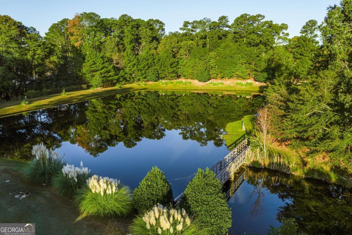 3325 Sweet Basil Lane Loganville - 68