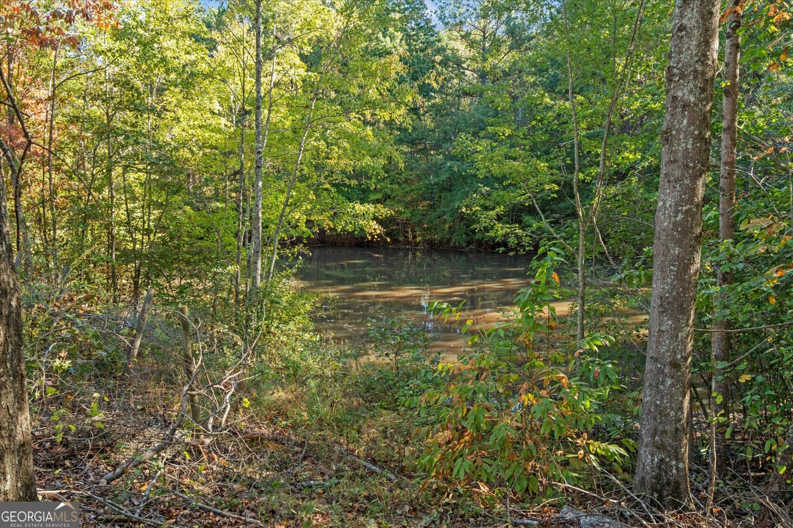 351 Taylors Gin Road Temple - 4