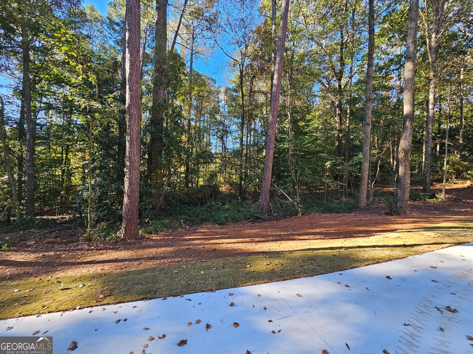 1770 Hwy 100 Bowdon - 8