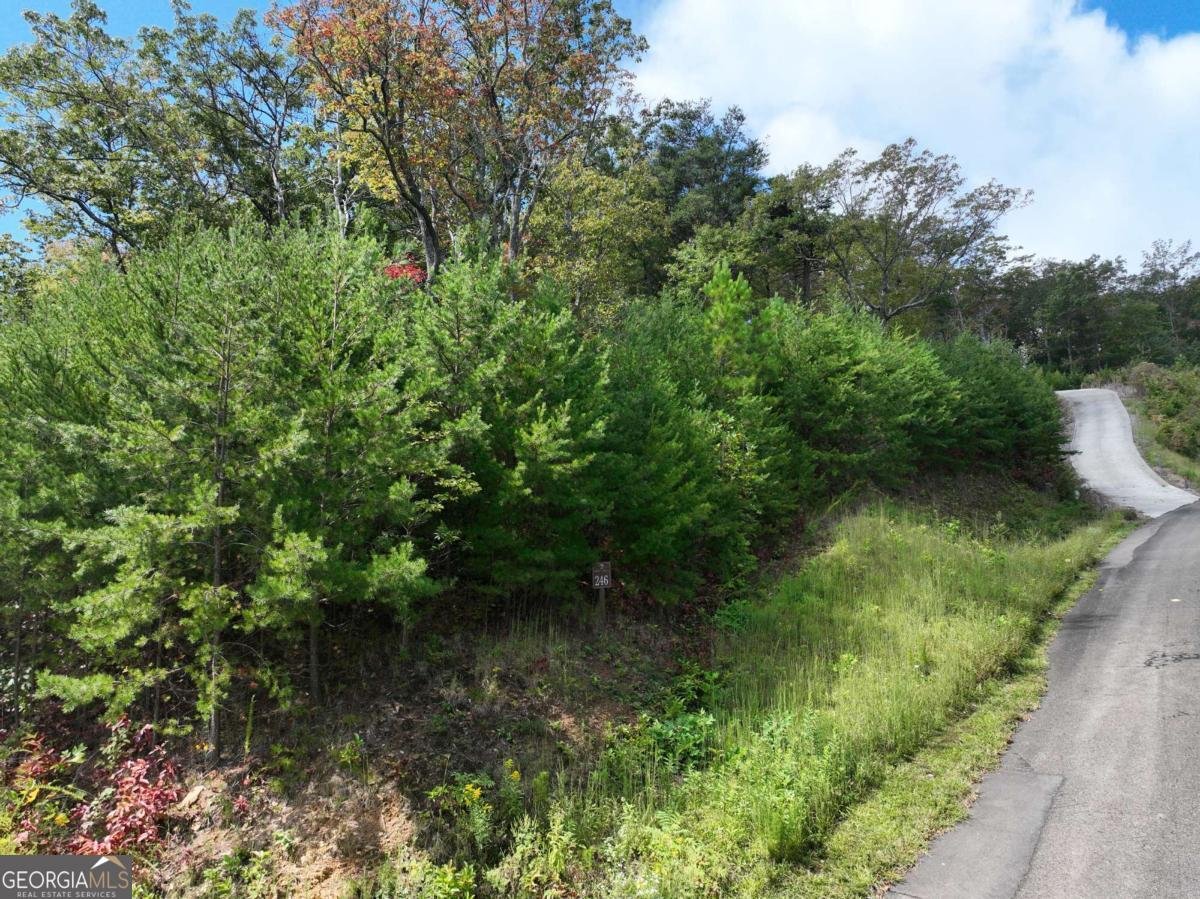 246 Andes Ridge Jasper - main photo