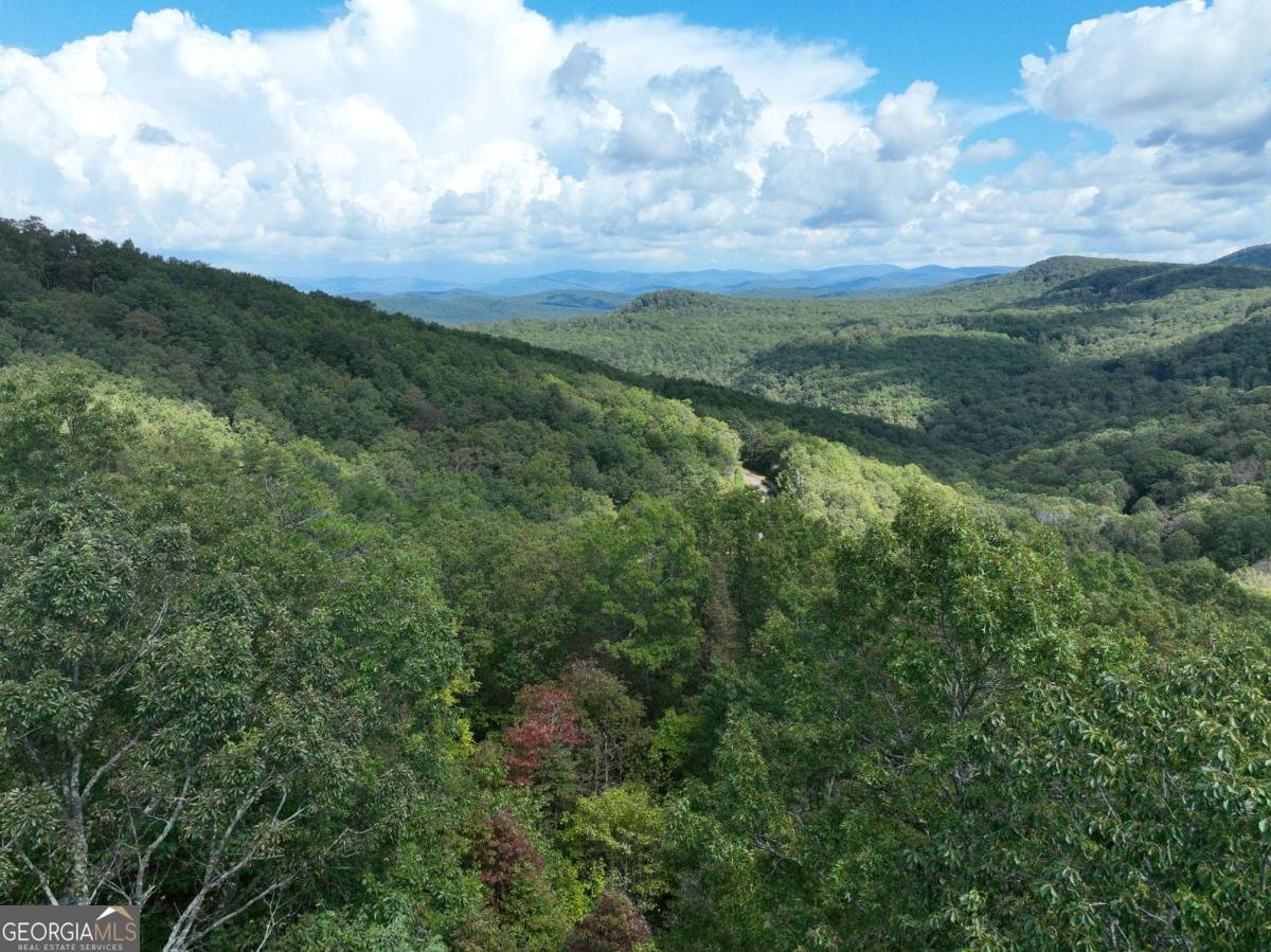 246 Andes Ridge Jasper - 10