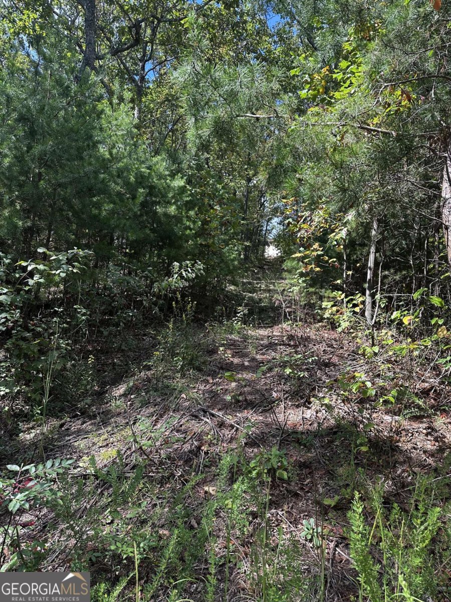 246 Andes Ridge Jasper - 11