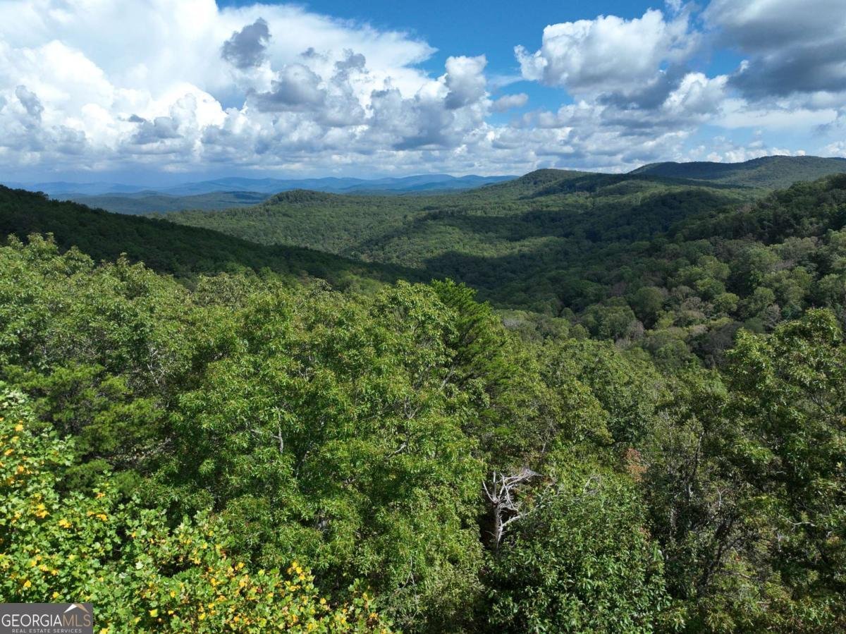 246 Andes Ridge Jasper - 16