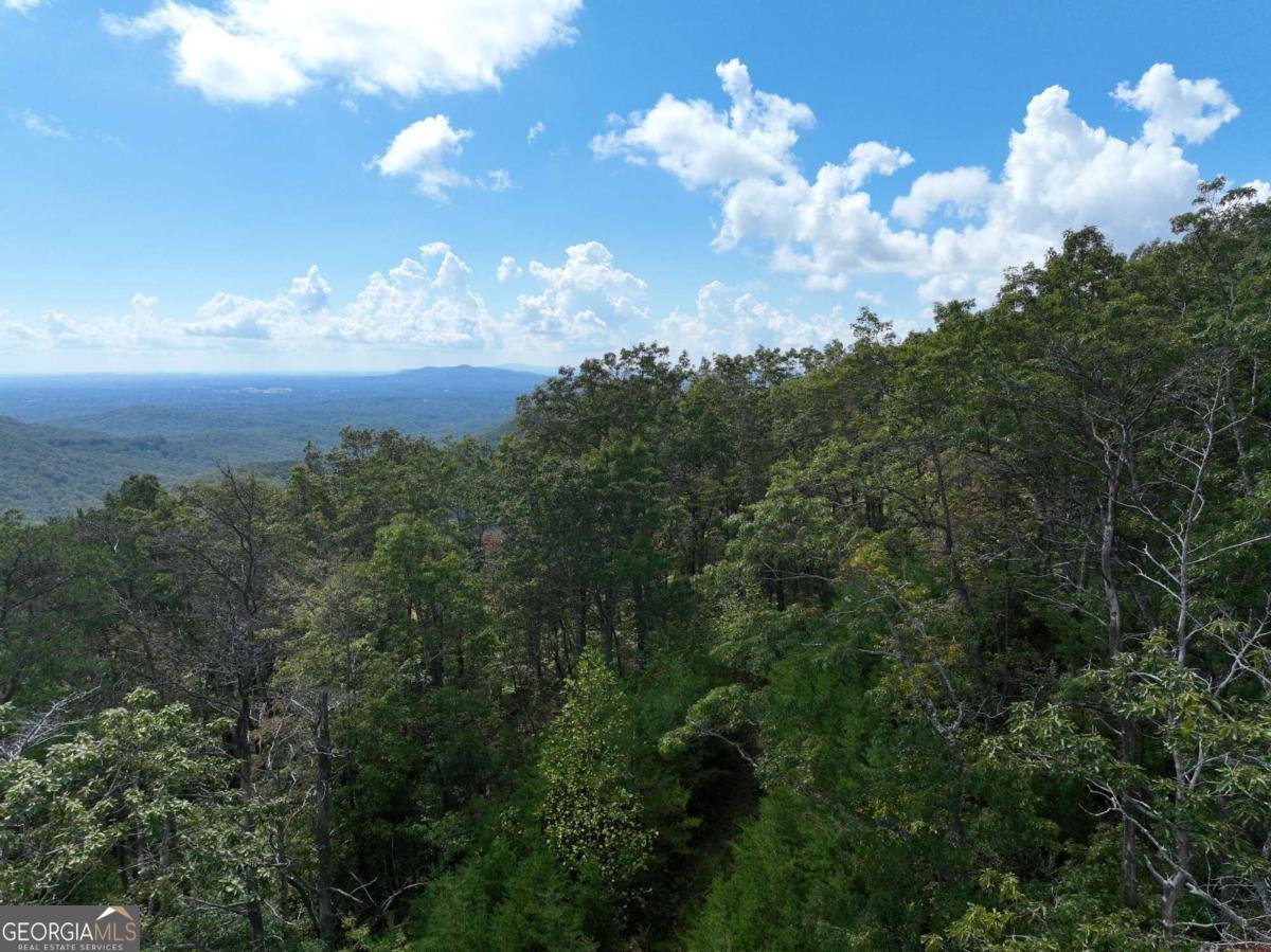 246 Andes Ridge Jasper - 17