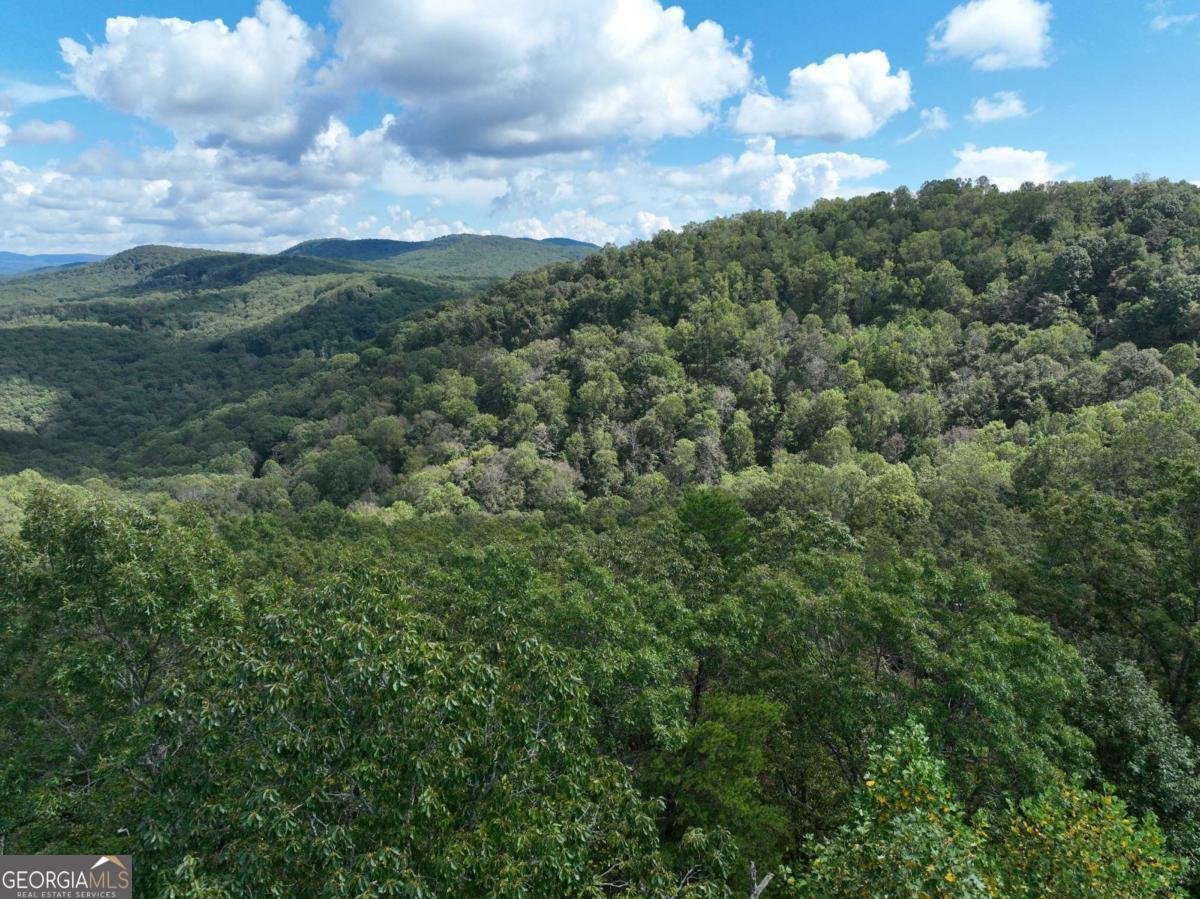 246 Andes Ridge Jasper - 18