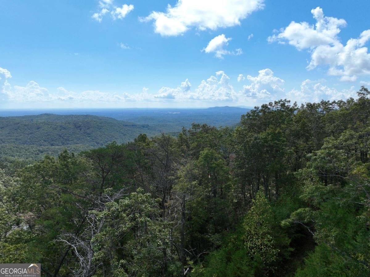 246 Andes Ridge Jasper - 19