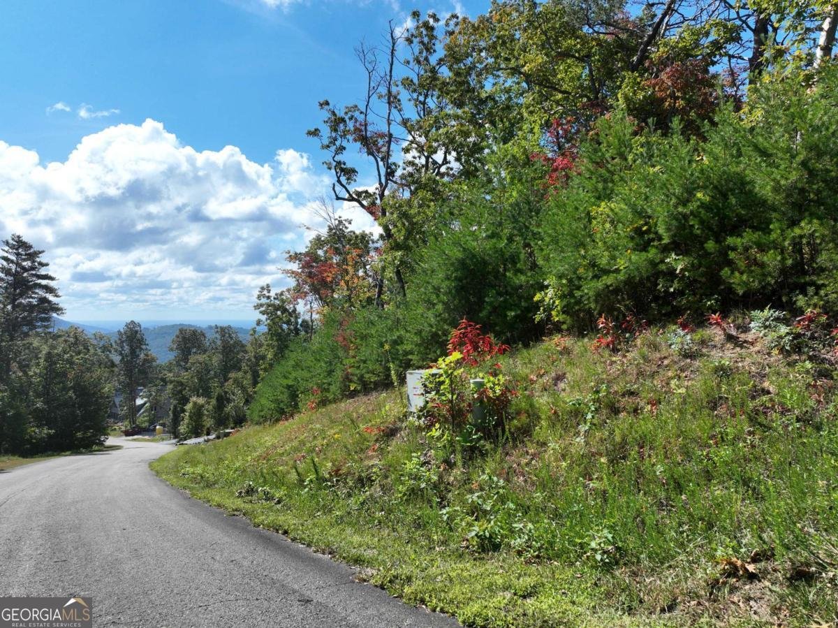 246 Andes Ridge Jasper - 3