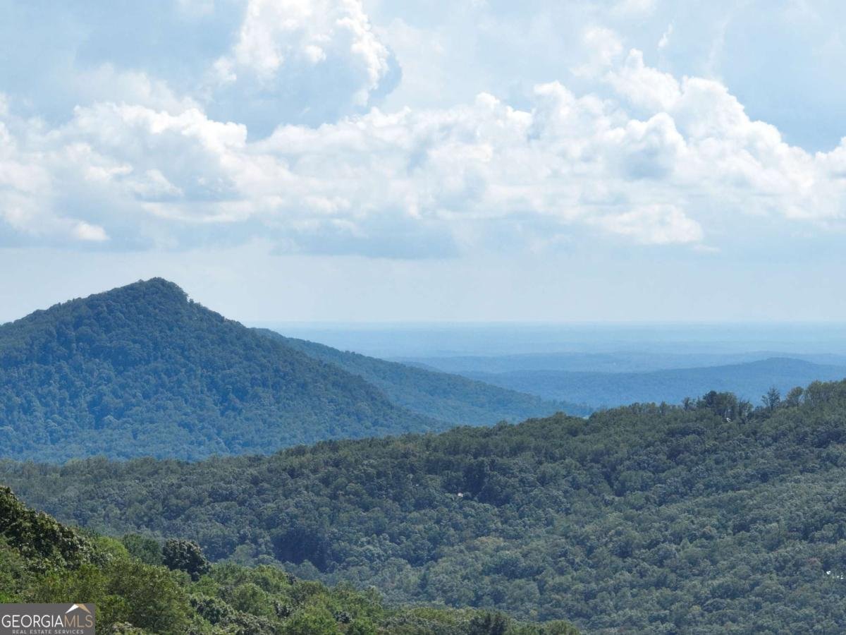 246 Andes Ridge Jasper - 36