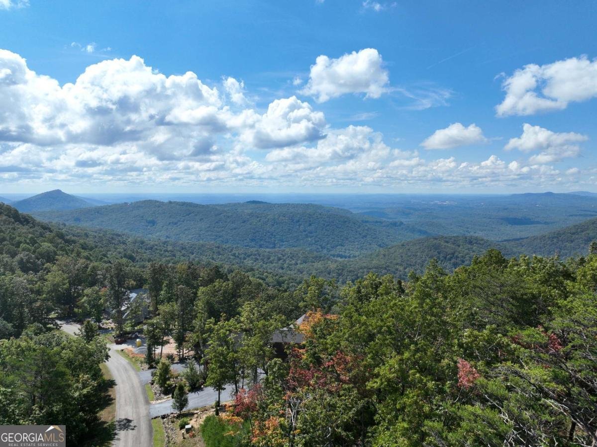 246 Andes Ridge Jasper - 4