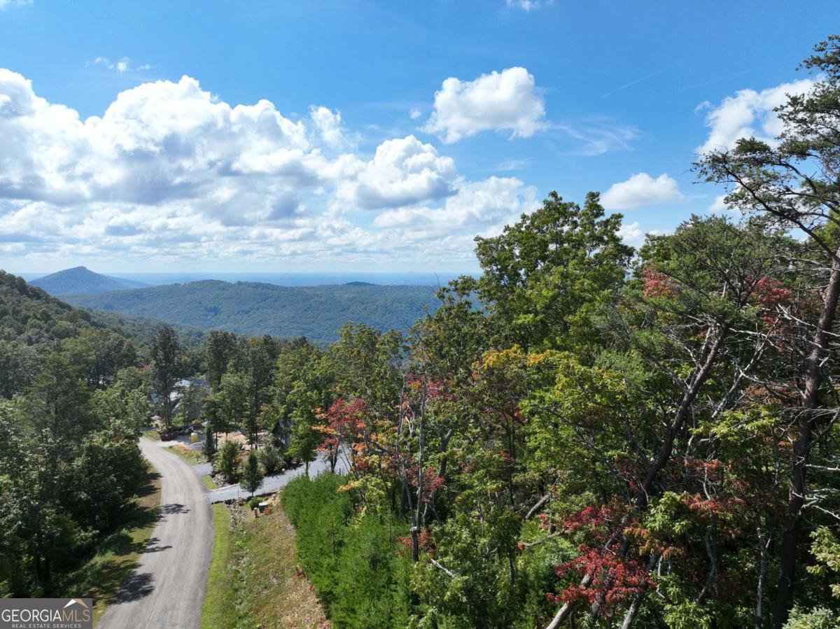 246 Andes Ridge Jasper - 5