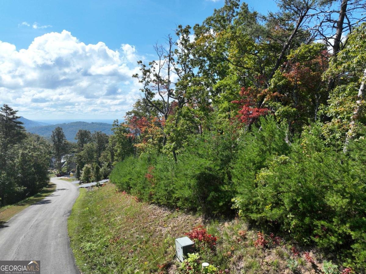 246 Andes Ridge Jasper - 6