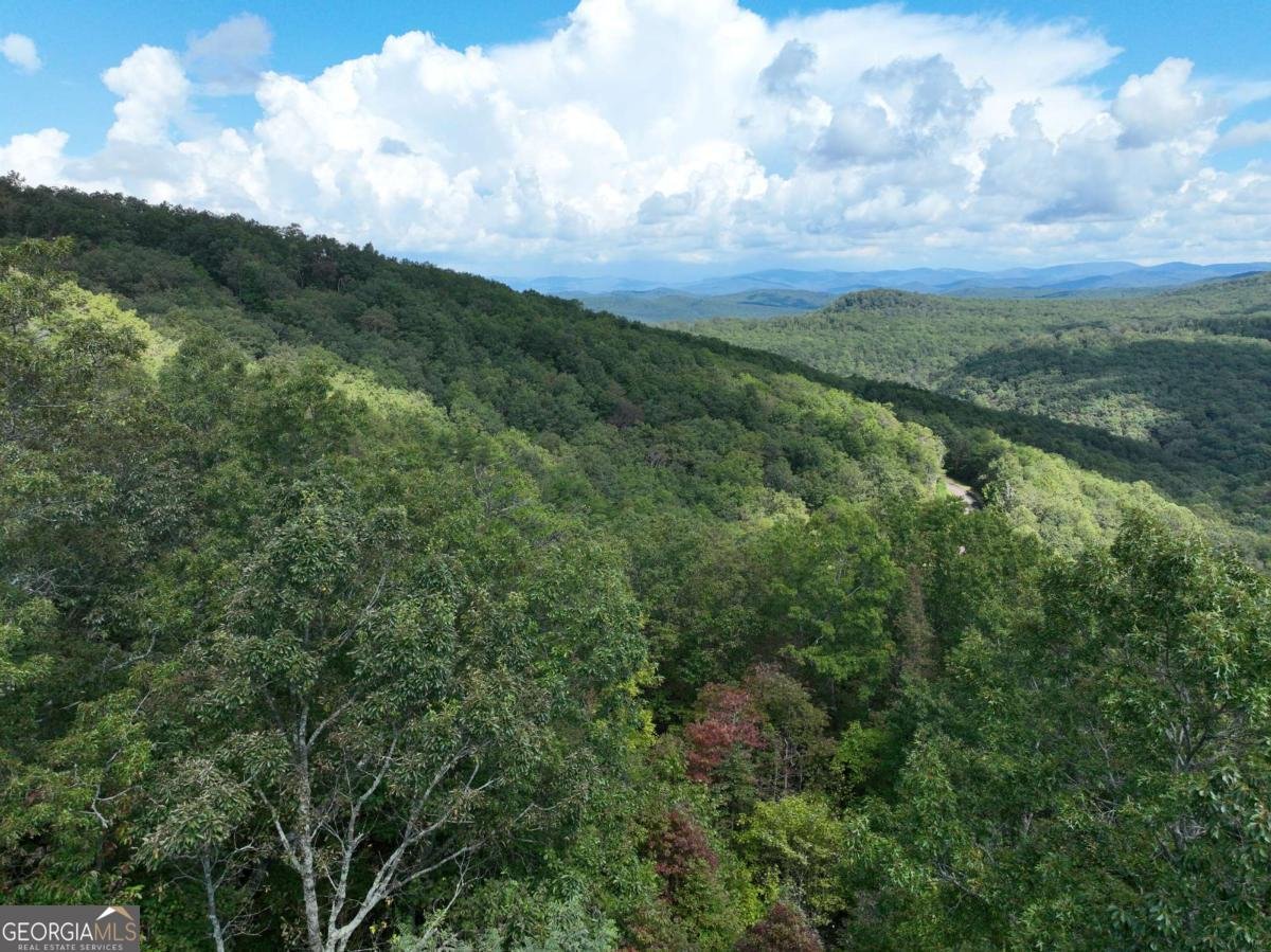 246 Andes Ridge Jasper - 9