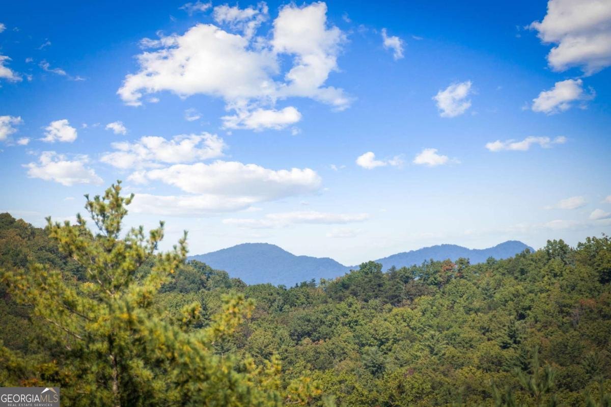 588 Bell Camp Ridge Road Blue Ridge - 3