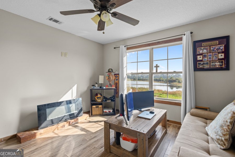 468 Lake Lannell Road Odum - 22