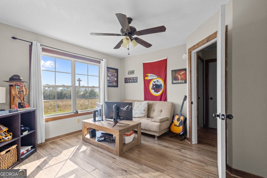 468 Lake Lannell Road Odum - 23