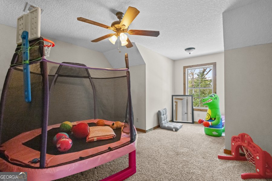 468 Lake Lannell Road Odum - 25