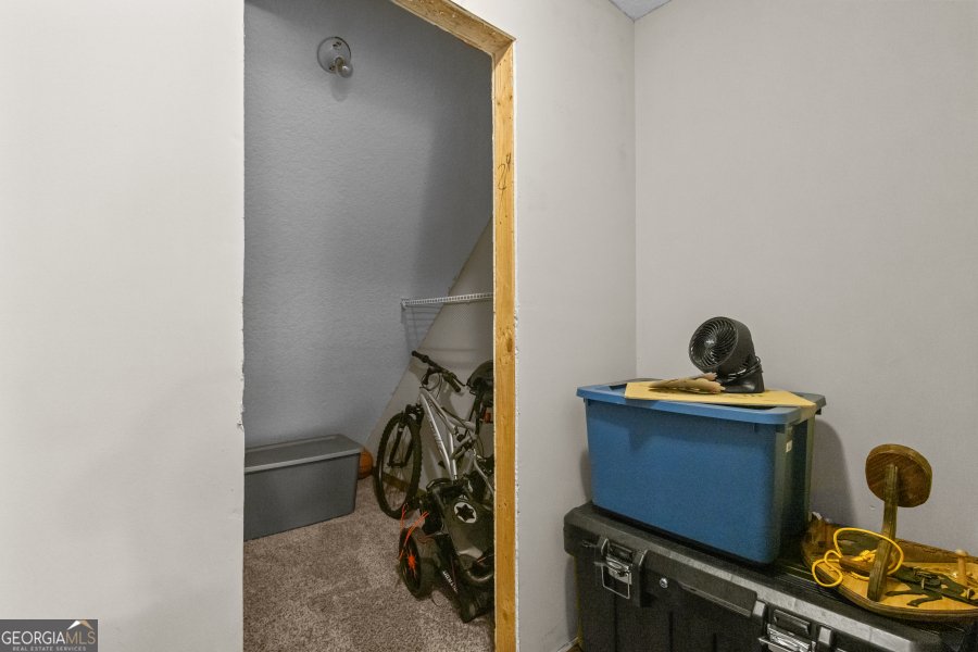 468 Lake Lannell Road Odum - 26