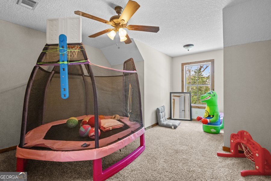 468 Lake Lannell Road Odum - 28