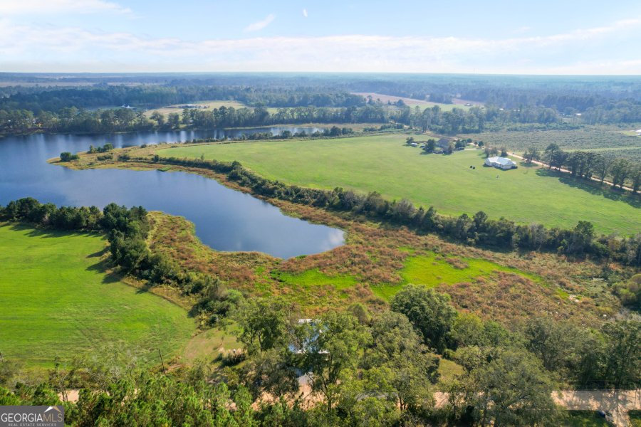 468 Lake Lannell Road Odum - 30